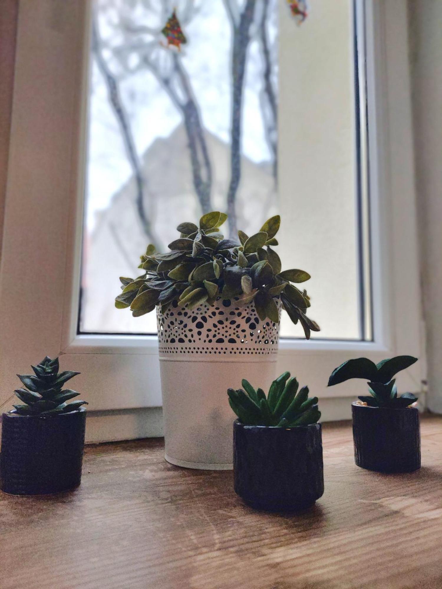Elpida Apartment 크라쿠프 외부 사진